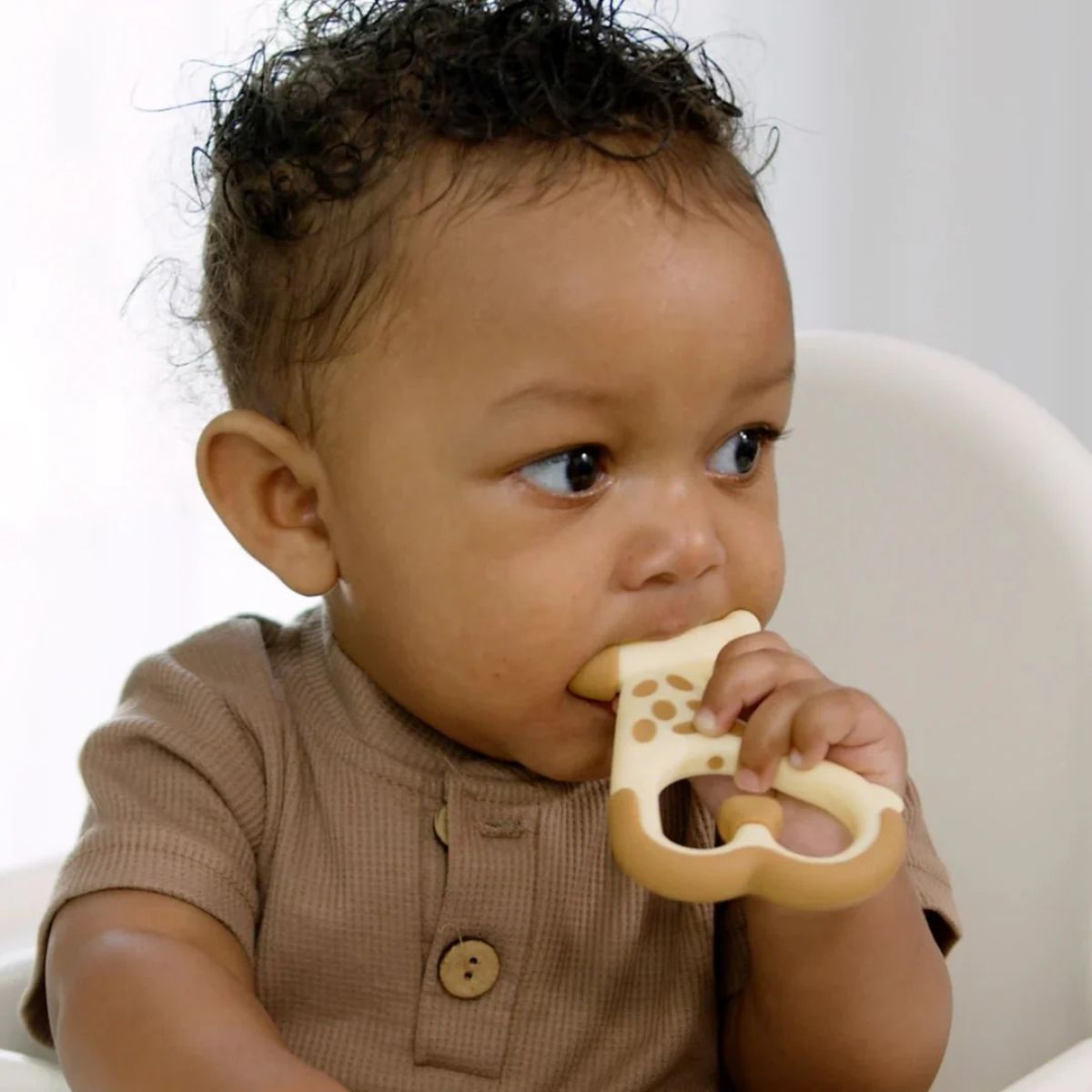 Dr. Brown's Ridgees Giaffe Massaging Teether - Pediatric Dentist Designed